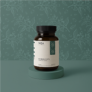 Cordyceps Kapseln