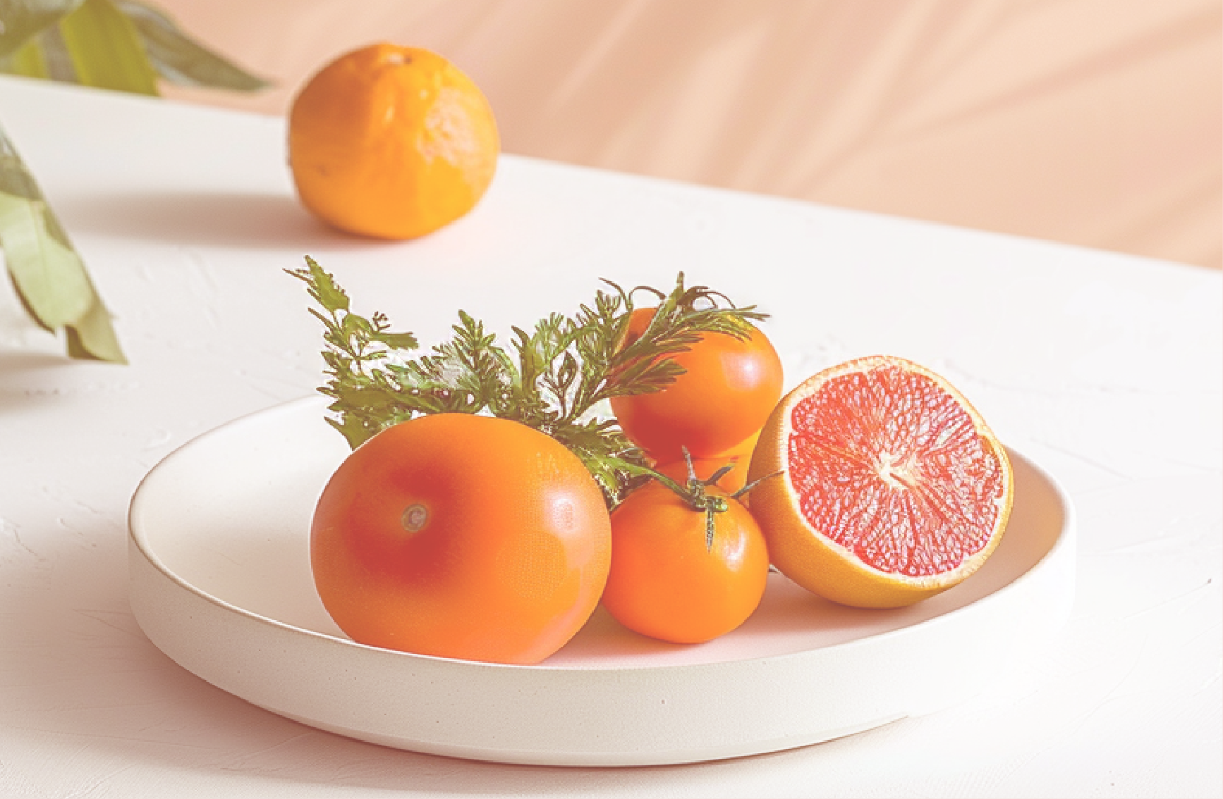 Darmgesundheit & Ernährung